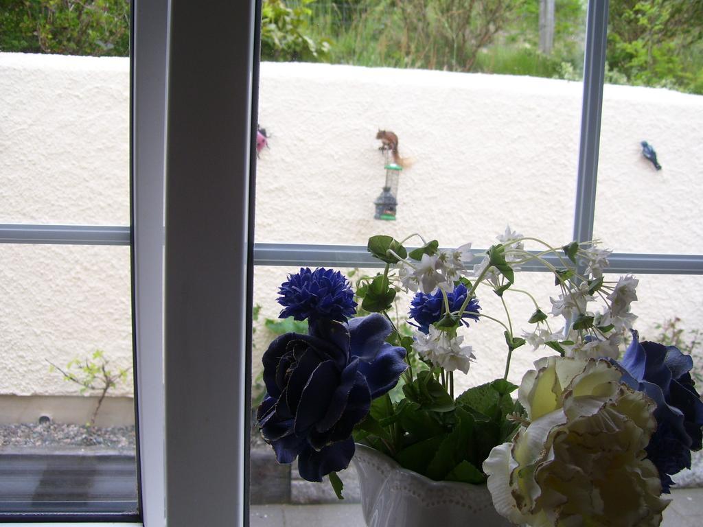 Lurig View B&B Glenariffe Exterior photo